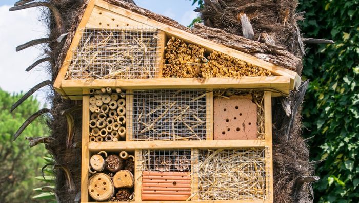 Artenschutz im eigenen Garten: Was ein gutes Insektenhotel ausmacht